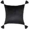 B&M Ariana Velvet Cushion 1 B&M Ariana Velvet Cushion -Household Items Shop 367560 ariana velvet cushion