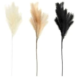 B&M Pampas Stem - Black 7 B&M Pampas Stem - Black -Household Items Shop 372800 395541 394382 pamas stem group 2
