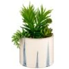 B&M Succulent In Blue Drip Pot 2 B&M Succulent In Blue Drip Pot -Household Items Shop 380106 succulent in blue drip pot