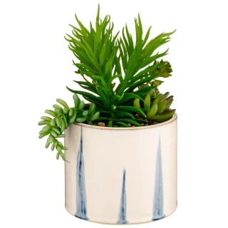 B&M Succulent In Blue Drip Pot 3 B&M Succulent In Blue Drip Pot