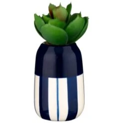 B&M Small Succulent 11 B&M Small Succulent -Household Items Shop 380107 small succulent 5