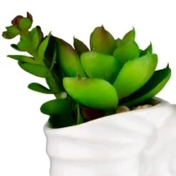 B&M Scandi Shore Small Shell Succulent -Household Items Shop 380110 small shell succulent 2