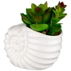 B&M Scandi Shore Small Shell Succulent -Household Items Shop 380110 small shell succulent 3