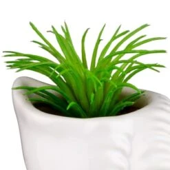 B&M Scandi Shore Small Shell Succulent -Household Items Shop 380110 small shell succulent 5