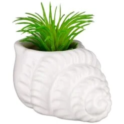 B&M Scandi Shore Small Shell Succulent -Household Items Shop 380110 small shell succulent 6