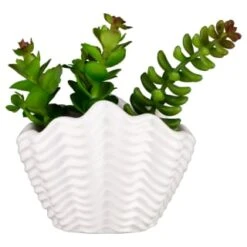 B&M Scandi Shore Small Shell Succulent -Household Items Shop 380110 small shell succulent 7