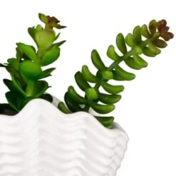 B&M Scandi Shore Small Shell Succulent -Household Items Shop 380110 small shell succulent 8