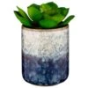 B&M Scandi Shore Succulent -Household Items Shop 380125 scandi succulent
