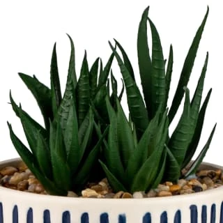 B&M Scandi Shore Stripe Succulent 4 B&M Scandi Shore Stripe Succulent - Image 2