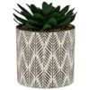 B&M Succulent In Botanist Print Pot - Green -Household Items Shop 380608 patterened pot with succulent