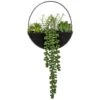 B&M Eden Life Round Trailing Plant 2 B&M Eden Life Round Trailing Plant -Household Items Shop 380727 black hanging trailing plant