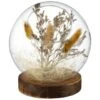 B&M Dried Pampas In Sphere -Household Items Shop 387526 dried pampas in sphere
