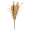 B&M Dried Grass Bunch 1 B&M Dried Grass Bunch -Household Items Shop 387541 dried grass bunch