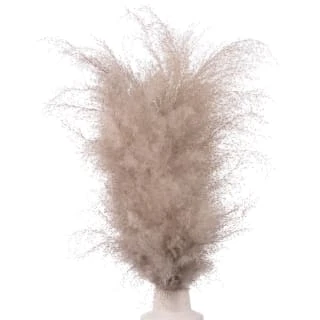 B&M Pampas In White Vase 4 B&M Pampas In White Vase - Image 2