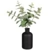B&M Eucalyptus In Black Pot -Household Items Shop 394336 eucalyptus in black pot