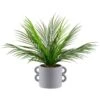 B&M Fern In Double Handle Pot -Household Items Shop 394340 fern in double handle pot
