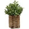 B&M Foliage In Seagrass Pot -Household Items Shop 394344 foliage in seagrass pot