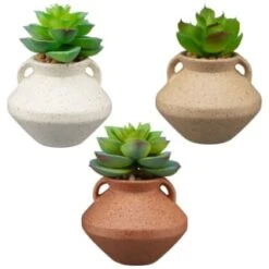 B&M Small Succulent Vase - Orange -Household Items Shop 394662 small vase succulent group