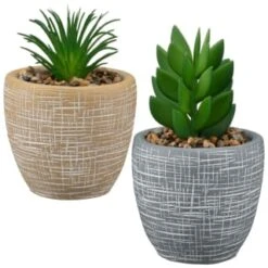 B&M Small Succulent Pot - Stone 7 B&M Small Succulent Pot - Stone -Household Items Shop 394663 small succulent group