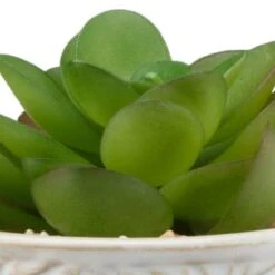 B&M Assorted Embossed Pots -Household Items Shop 394664 embossed pot 6