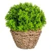 B&M Bush In Seagrass Pot -Household Items Shop 394693 bush in seagrass pot