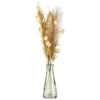 B&M Pampas & Leaf In Glass Vase 1 B&M Pampas & Leaf In Glass Vase -Household Items Shop 394707 pampas and leaf in glass vase 3